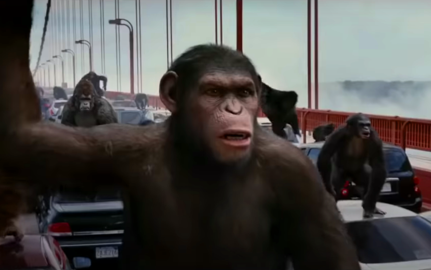 Обезьяны захватили город. Кадр из известного кинофильма.