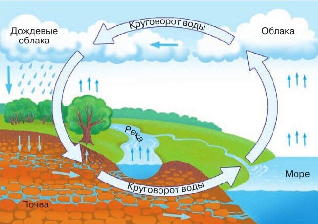 Картинки круговорота воды в природе (40 картинок) 😅 top10tyumen.ru
