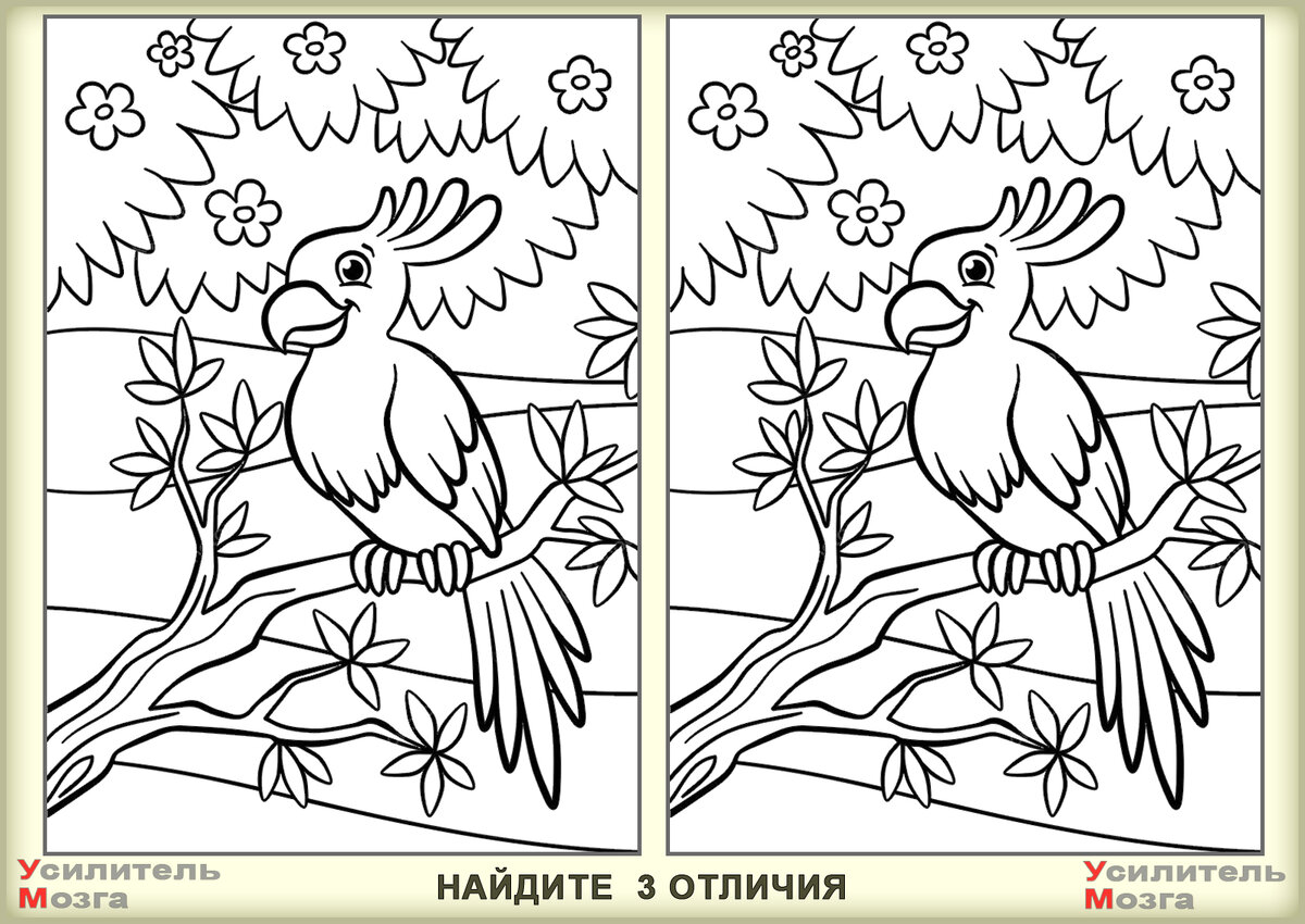 #найдите отличия 