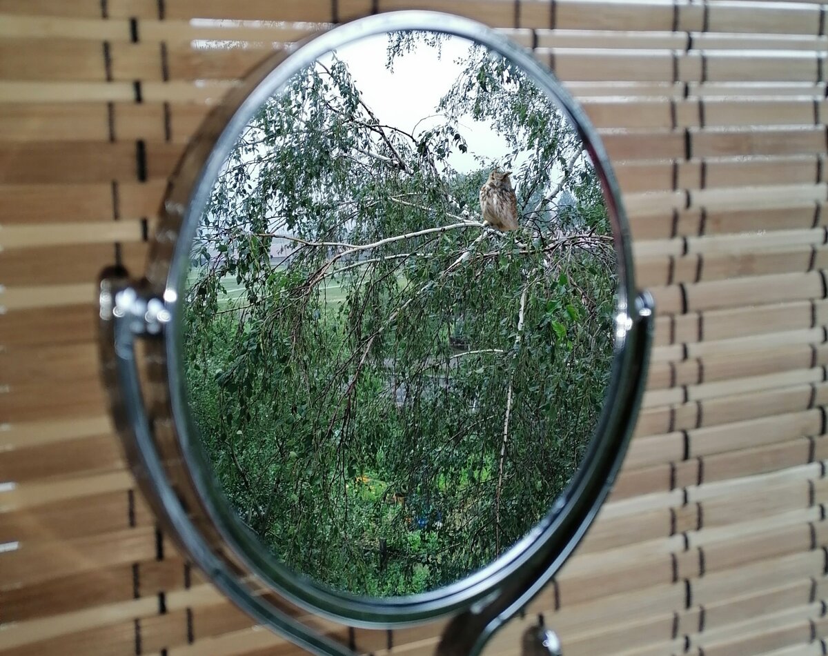 Из личного архива.