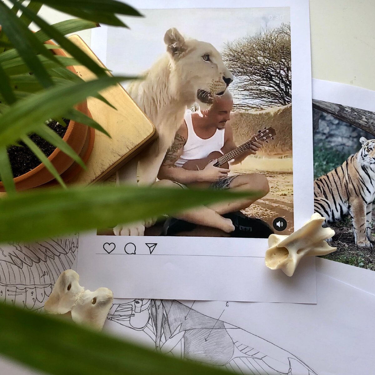 Несбыточное желание или дорога в будущее? 