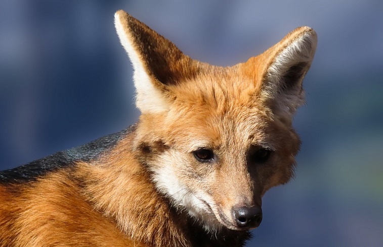 Обязательно подписывайтесь на канал и ставьте лайк)