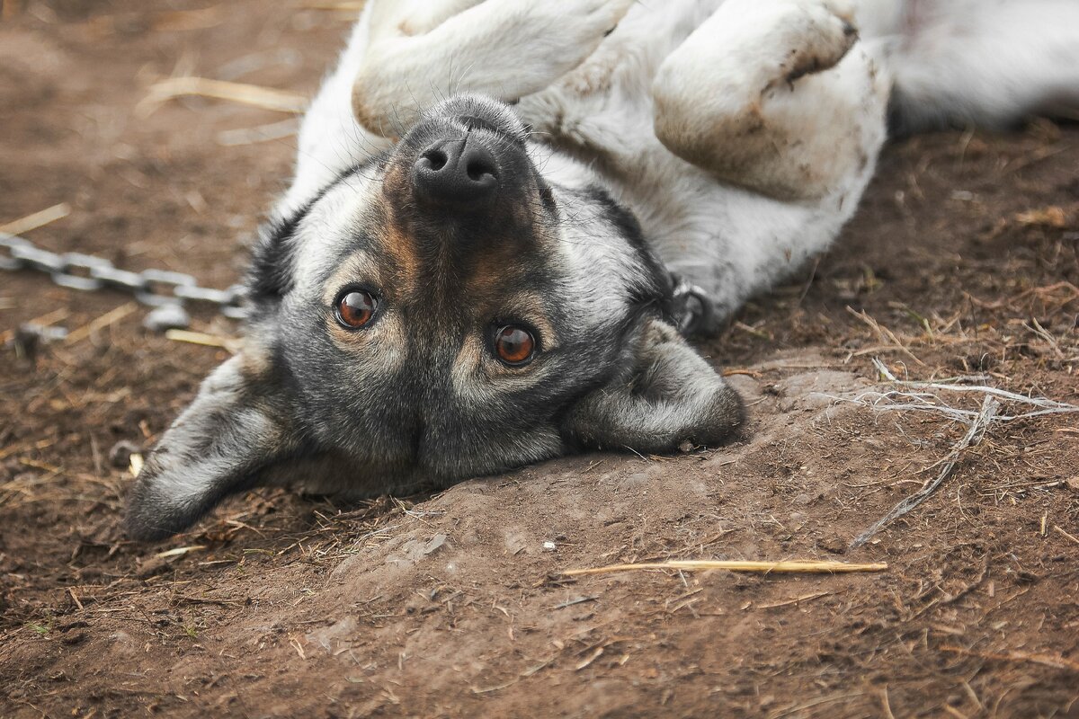 Canon 550D + Canon 24-105mm f/4L