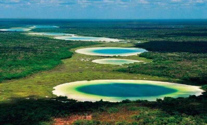 Летнее фото (влажный сезон)