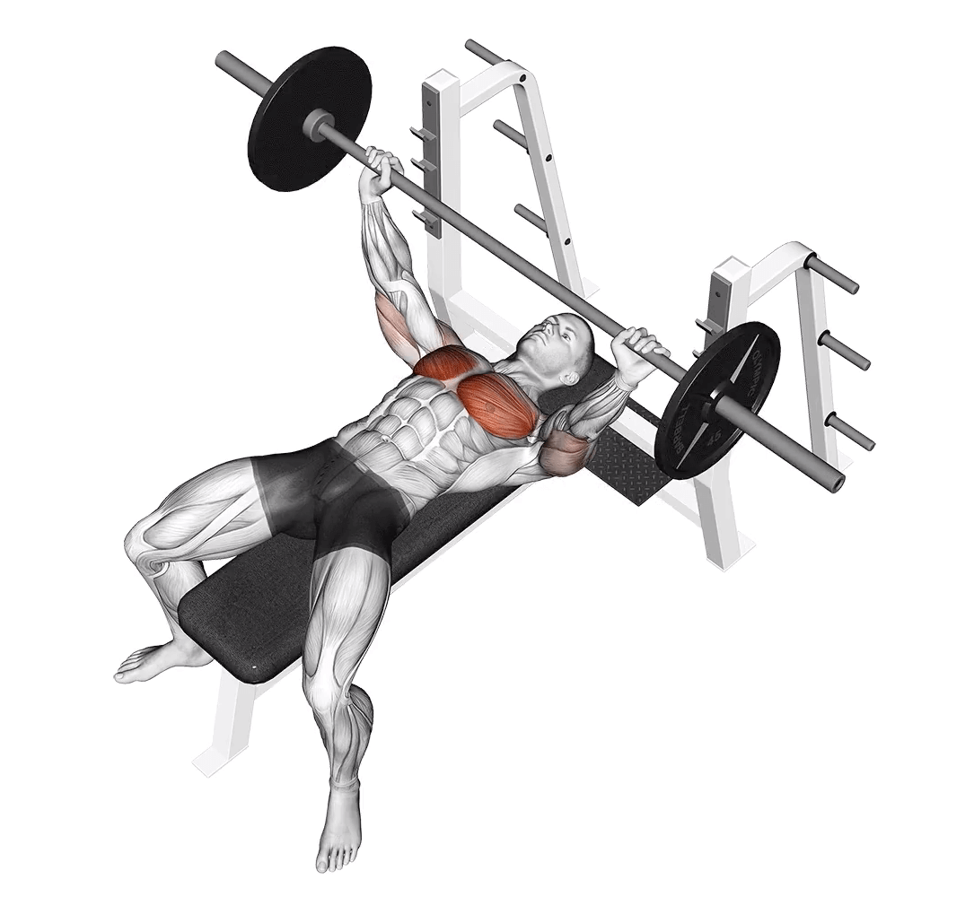 Трицепс будет задействован при конечном подъёме штанги вверх , по этому это одна из  лучших баз для трицепса.