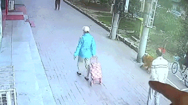 Полное видео смотрите ниже в статье