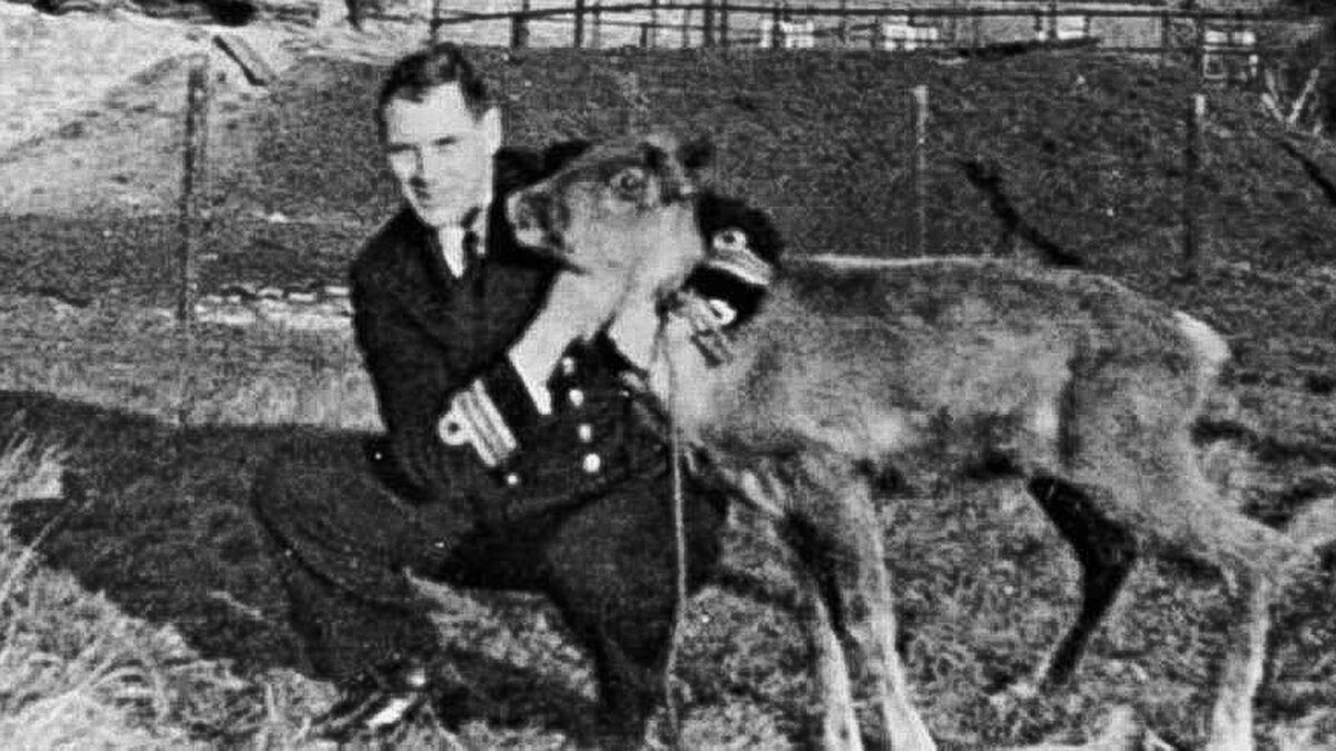 Архивное фото