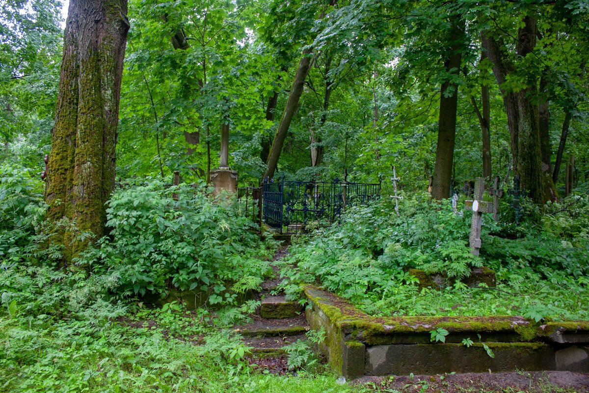 © фото: Дом Среди Лавров.