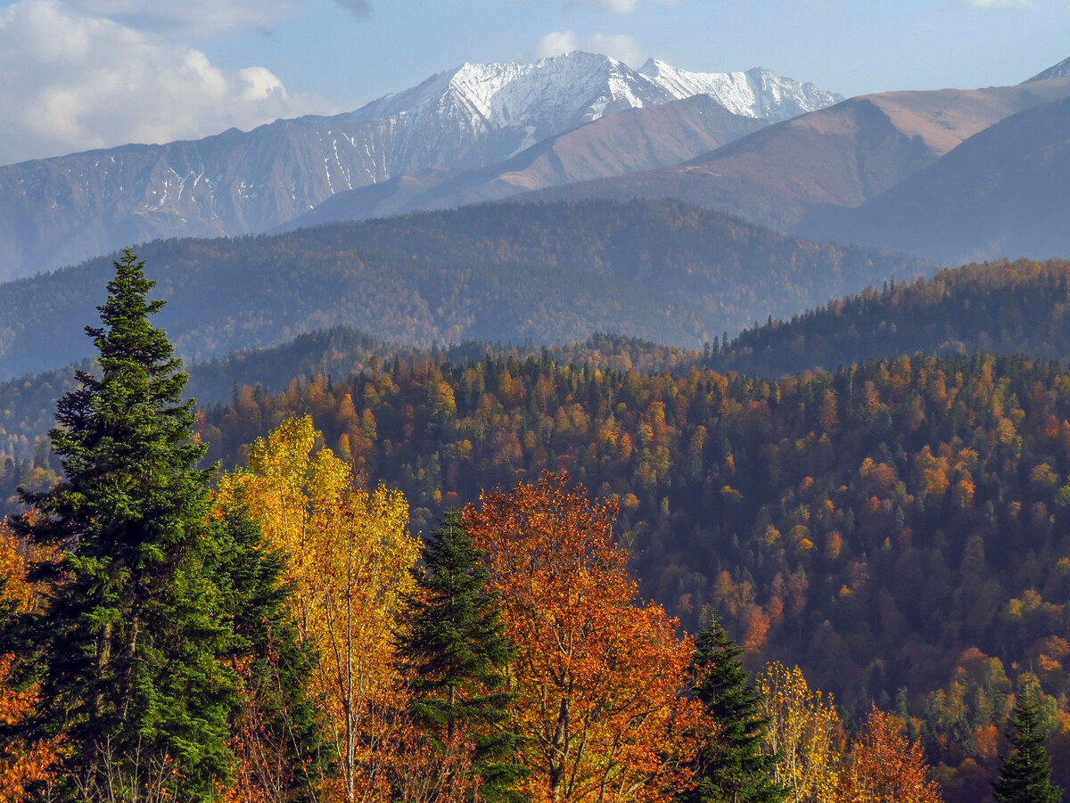 Адыгея осенью фото