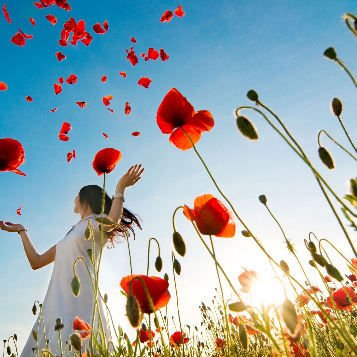 Взято из публичного источника