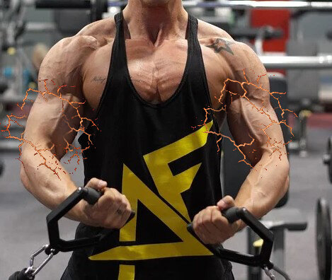 Источник: httpspixabay.com