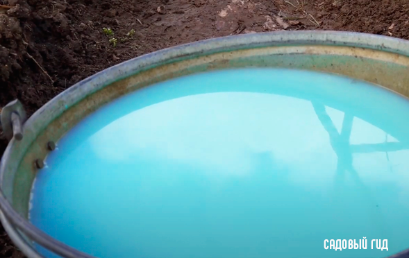 Бордоская жидкость.