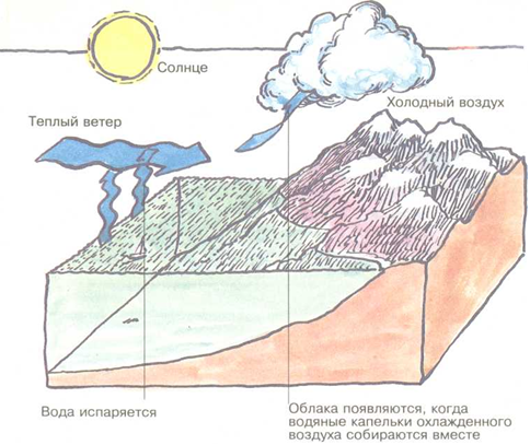 Необычные природные явления. Откуда взялись облака. Откуда взялись облака. Откуда берутся облака 1 класс. Откуда взялись облака.