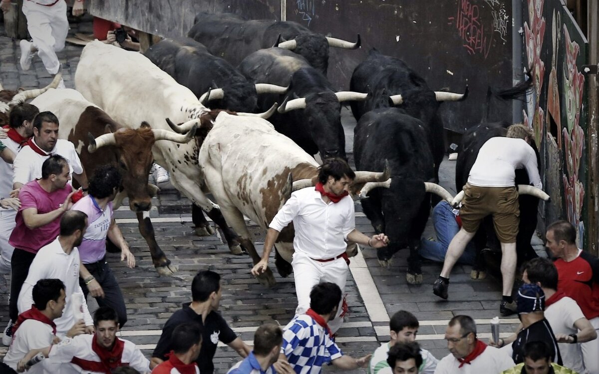 Фото из открытых источников