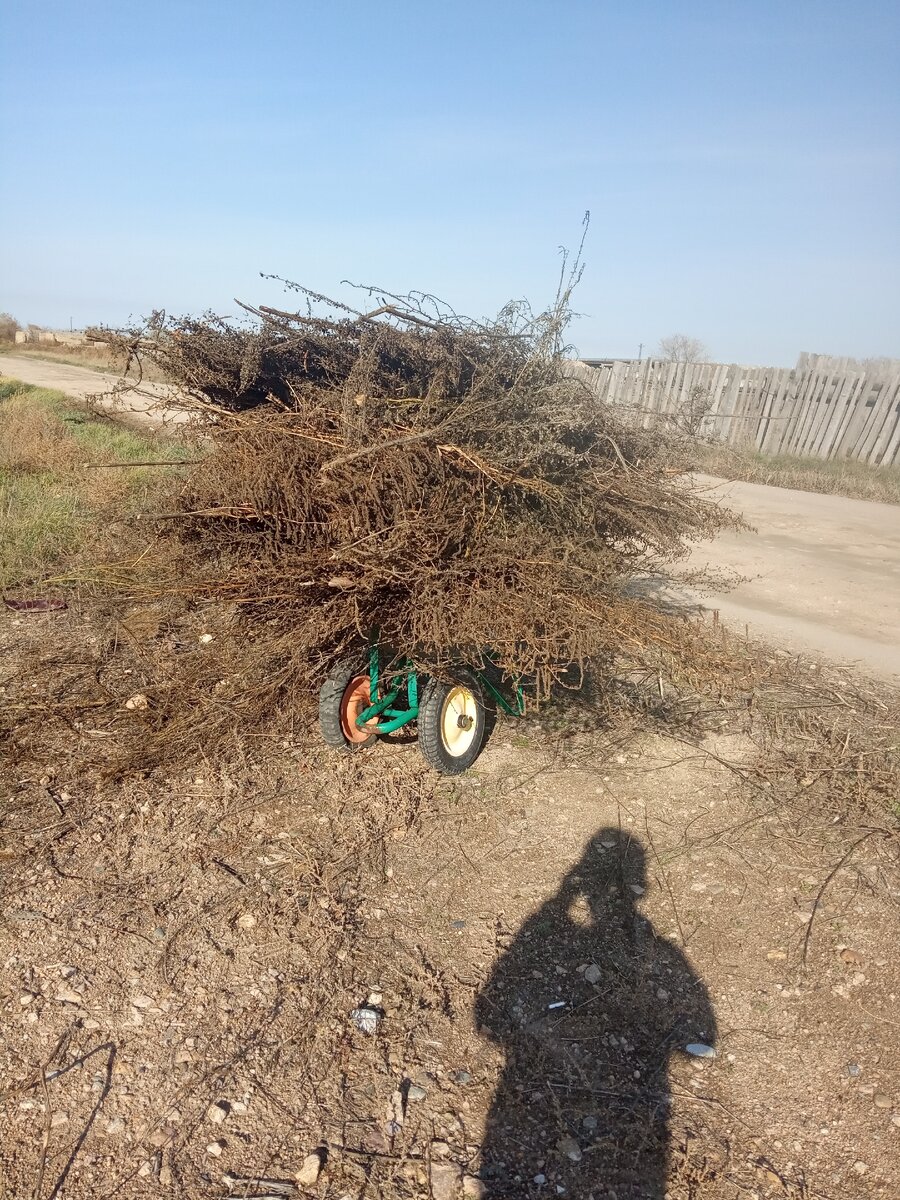 Так как я ленивый я решил загрузить сразу всю траву в тележку , только загрузил и ее перевернуло ветром . Но мне повезло , я увидел там щенят , не знаю как они туда попали , видимо мать положила их туда , я даже не знал про них . Вот сейчас, спустя гол двух отдали и один Рекс живёт со мной , я не пожалел об этом