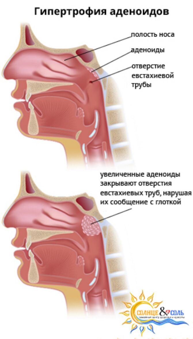 Каталог товаров