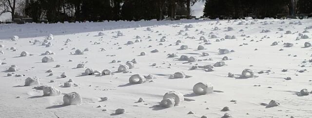 Поле снежных пончиков в Пенсильвании, Brenda Armstrong/Wikimedia Commons