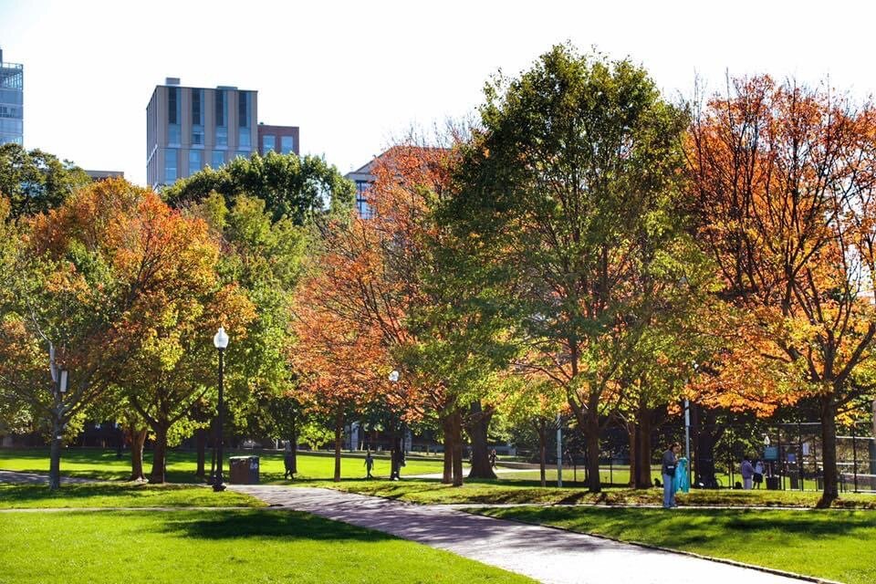 все фото автора