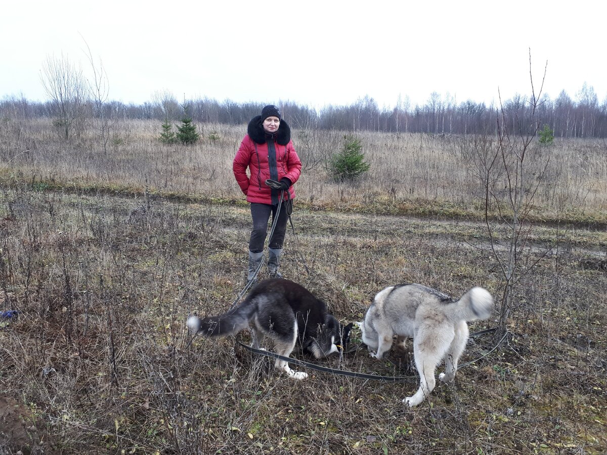 Совместное истребление полевок