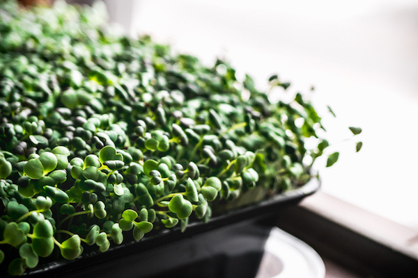 Источник: Яндекс картинки