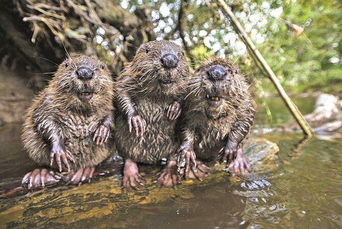 Очередной рассказ от Коляна. Как всегда, орфография аффтора сохранена!