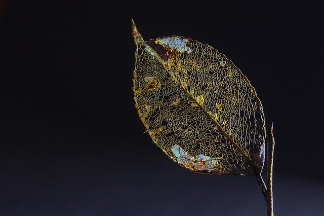 Все думают что время придёт, а оно только уходит