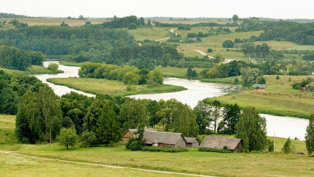 Фото из сервиса яндекс-картинки