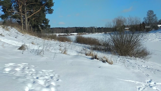 Верхний бор располагается на левом берегу Волги