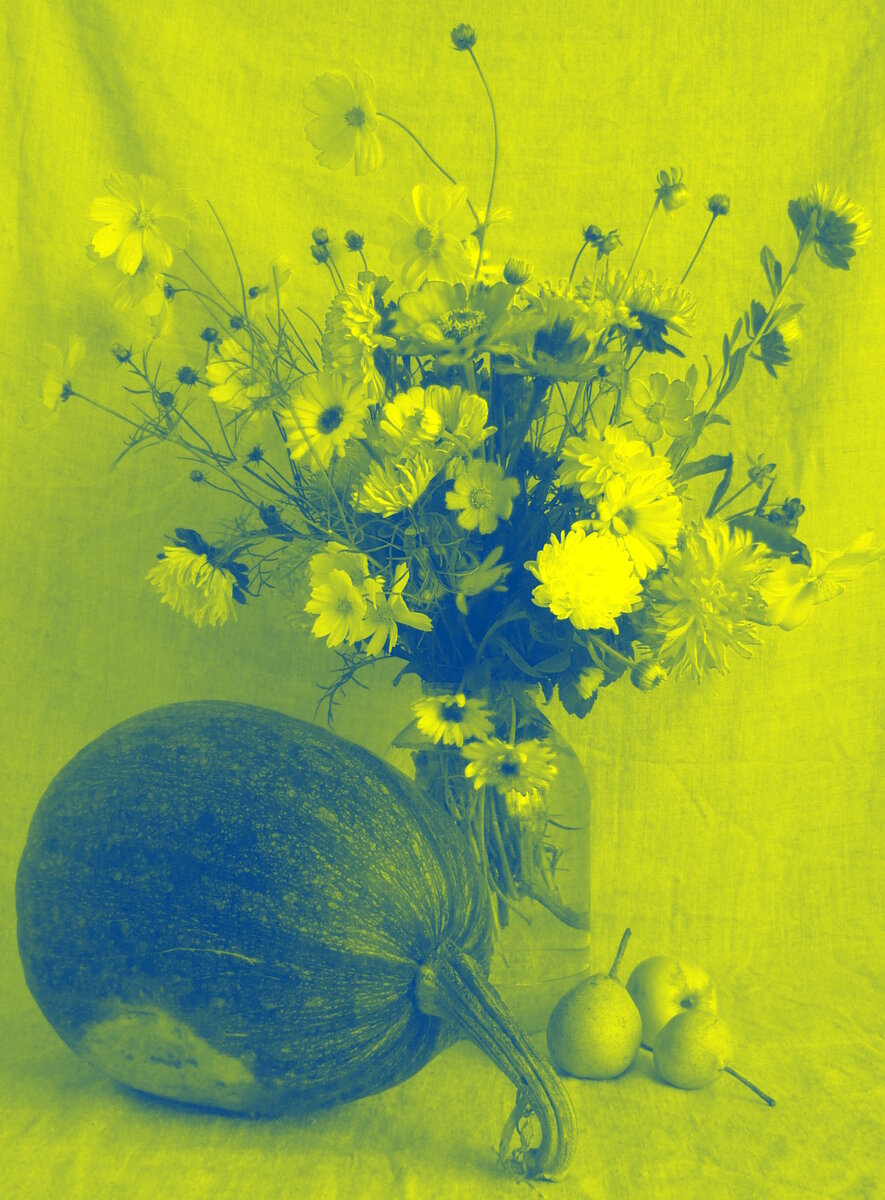 Татьяна Ельники