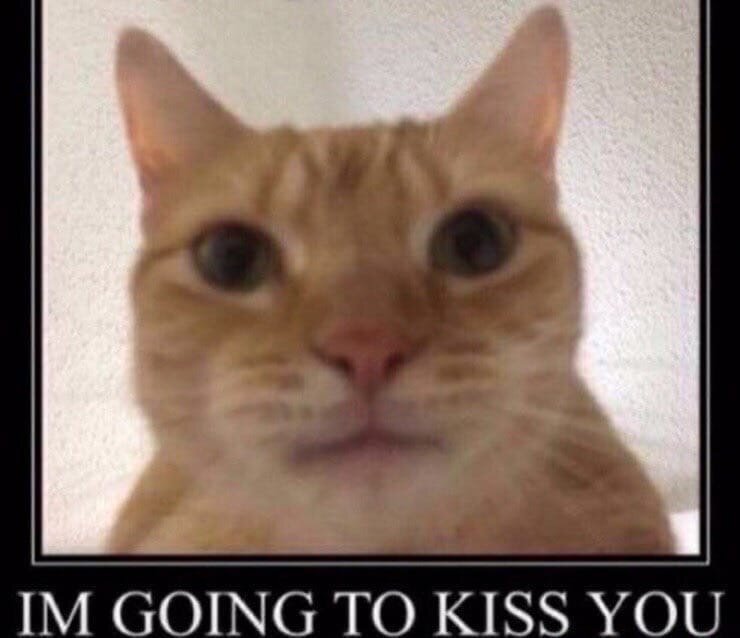 Перевод (я иду тебя целовать ) Мем который показывает любовь к собеседнику 