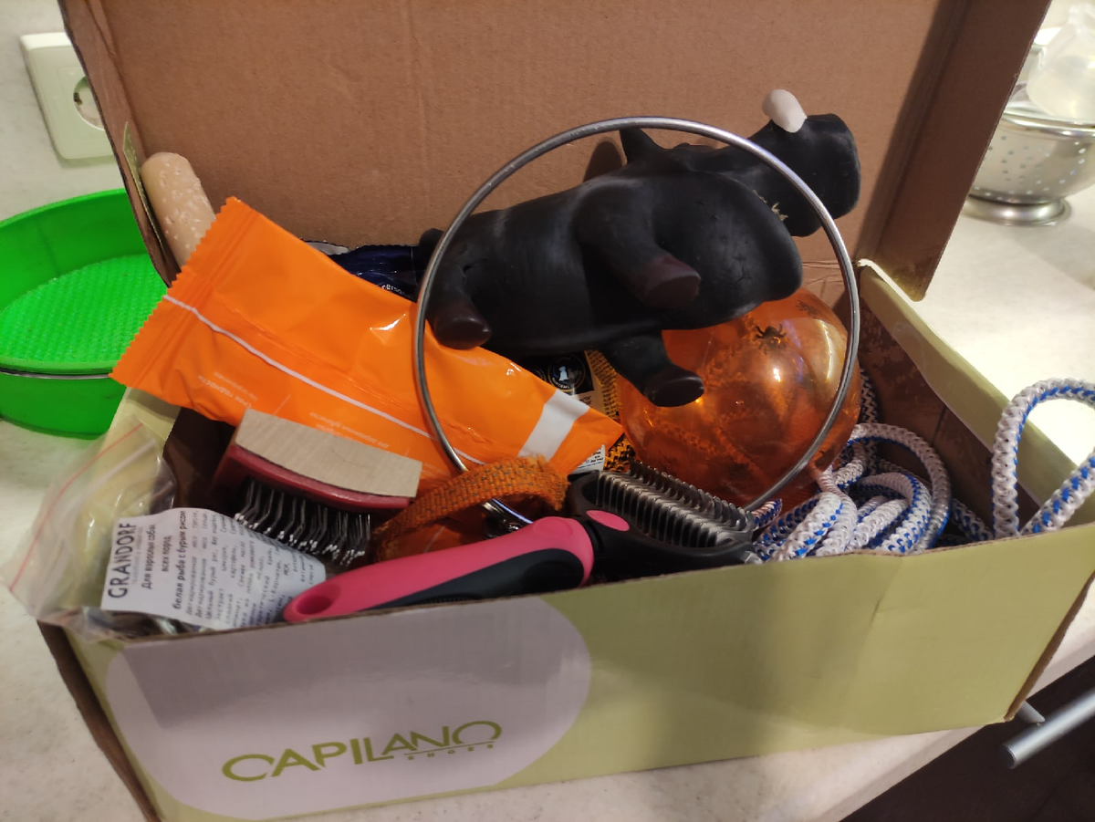 Всякие безделушки для собаки