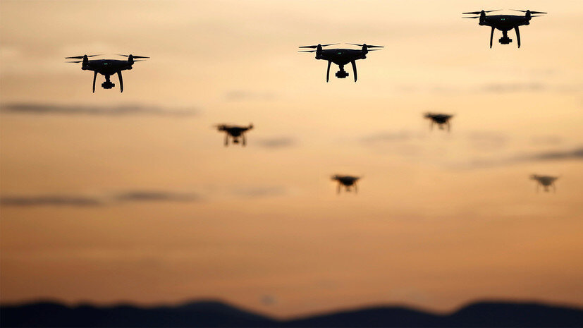 Согласованное движение поможет лучше понять теорию хаоса больших групп, теорию графов, методы оптимизации и кооперативного взаимодействия (Фото: russian.rt.com) 