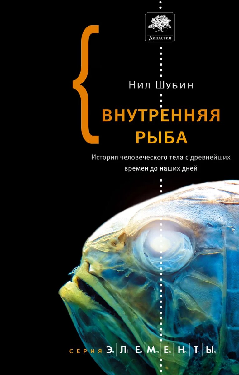 ВНУТРЕННЯЯ РЫБА. История человеческого тела с древнейших времен до наших  дней», Нил Шубин | Психология с Павлом Зыгмантовичем | Дзен