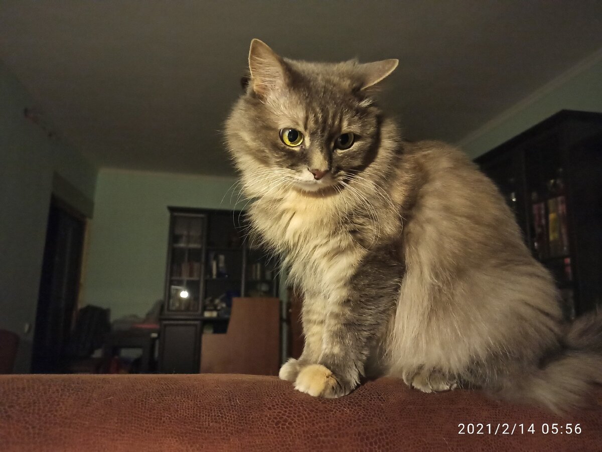 Маня полна осуждения нашим занятием )))