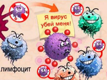 Яндекс.Картинки