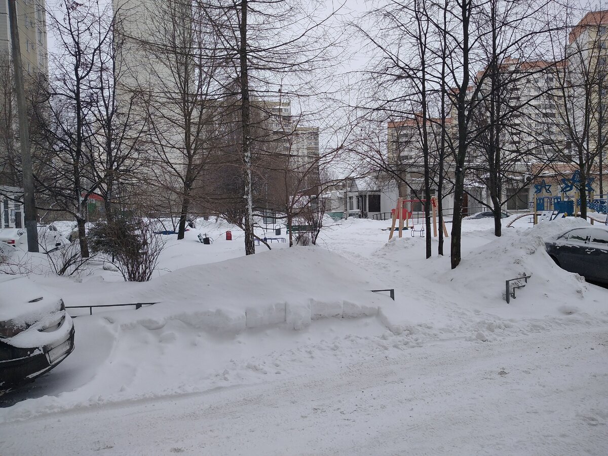 Вот что я увидела, выйдя сегодня из дома. Фото автора.
