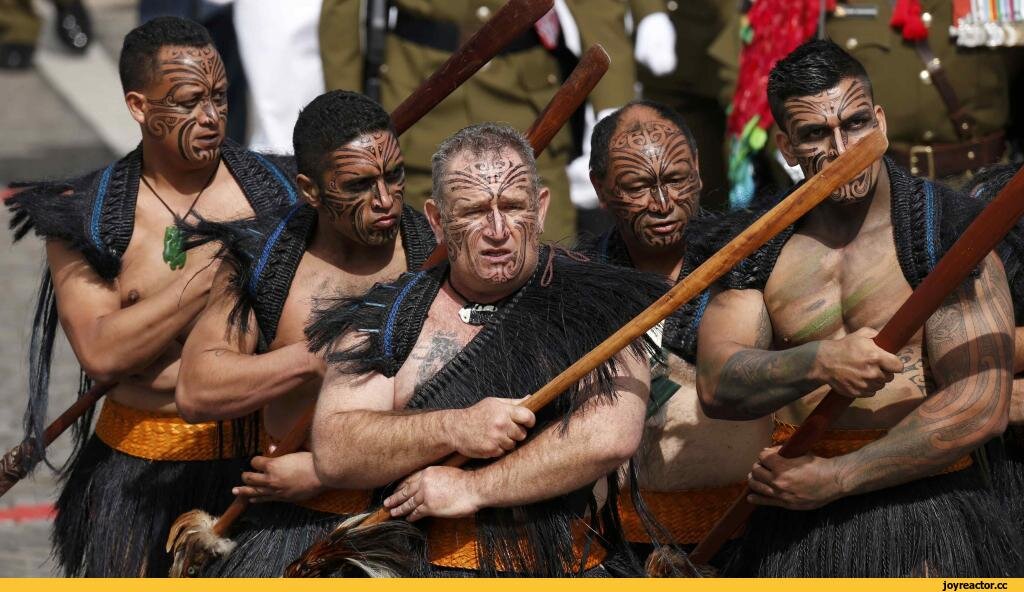 фото из открытых источников