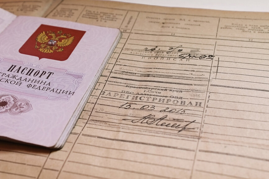 На фото изображена домовая книга.