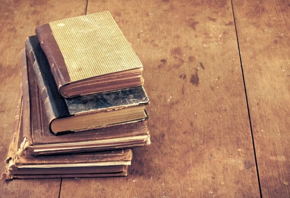 Фото из интернета 