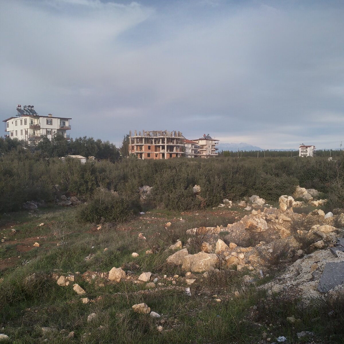 Свободной земли много...