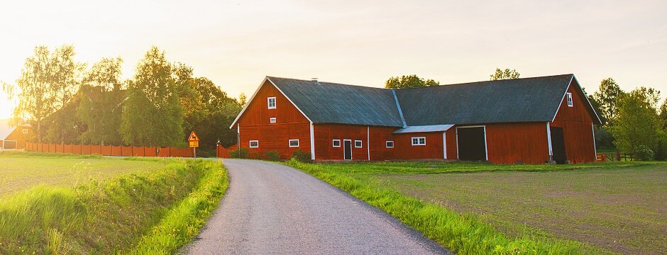 Фото: iStock.com