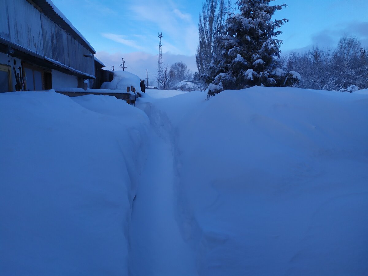 Тропа жизни в курятник. Фото из личного архива.