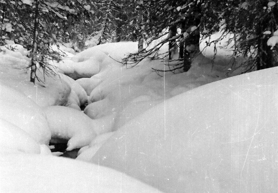 Ручей с открытой водой в верховьях Ауспии. Фото дятловцев от 30 .01.1959. Из открытых источников 