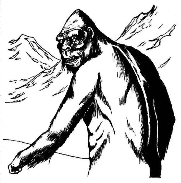 Рисунок из открытого источника.