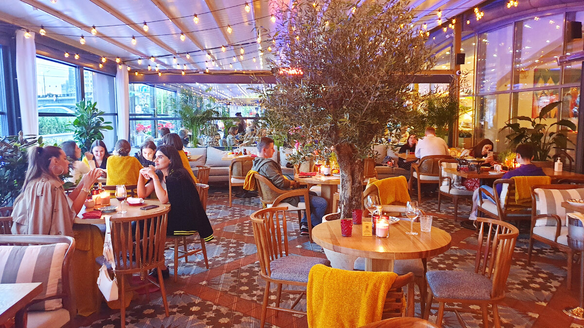 Общий вид веранды. У них есть даже оливковое дерево!