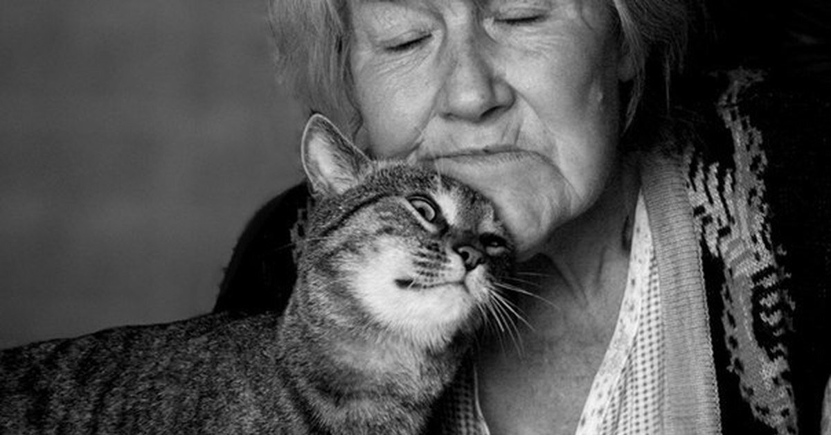 Фото с просторов интернета