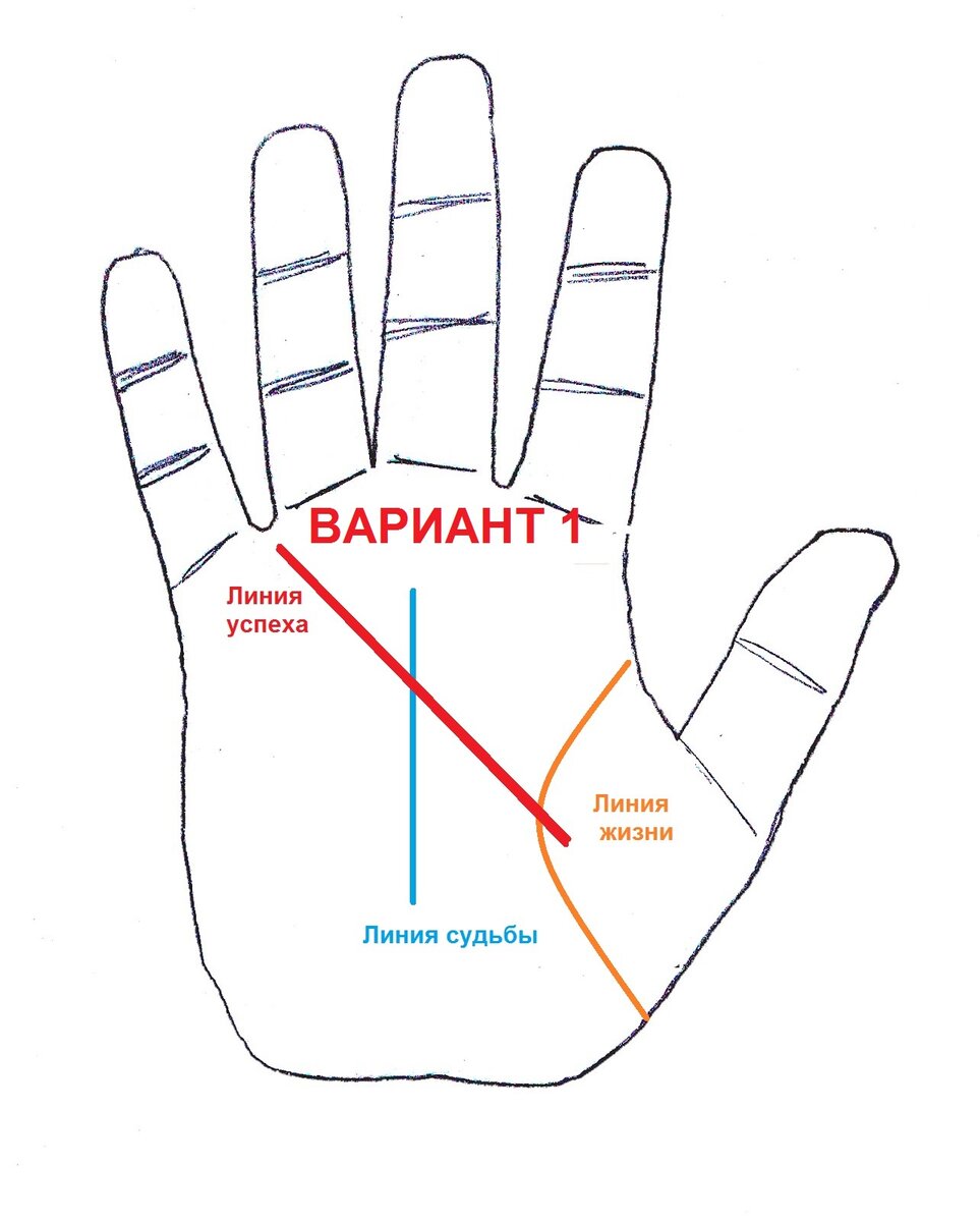 На какой руке линия жизни. Хиромантия линия успеха. Линия жизни. Линии успешности на руке.