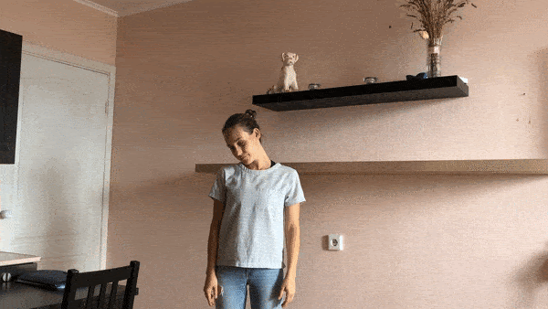  Анимация из открытых источников