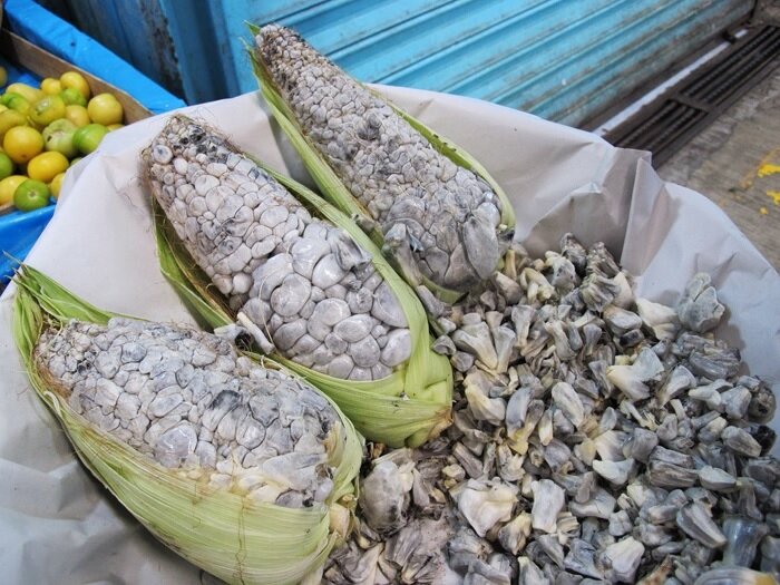 Фото с просторов Интернета