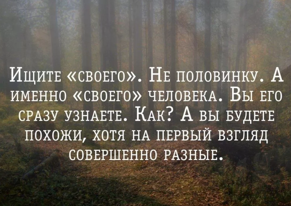 Каждый будет принимать то что ему. Разные высказывания. Цитаты про половинки. Высказывания о второй половинке. Цитаты про вторую половинку.